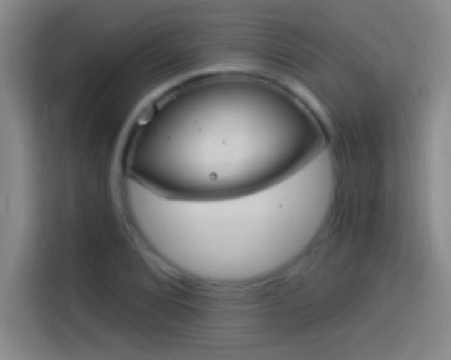 X0000113901072200910011338