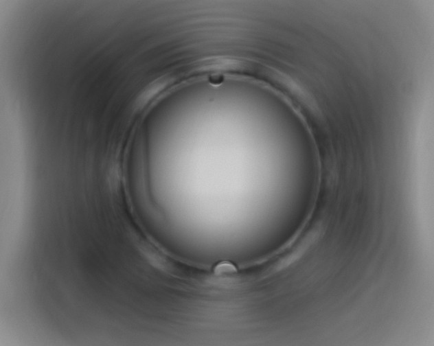 X0000113901073200910011338