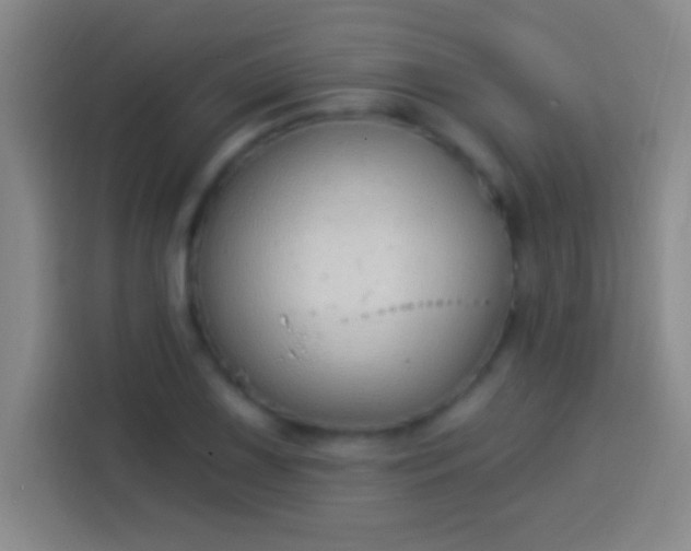 X0000113901075200910011338