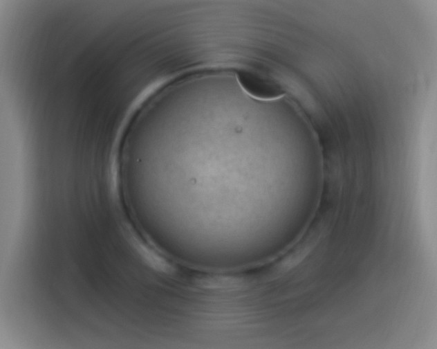 X0000113901076200910011338