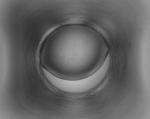 X0000113901077200910011338