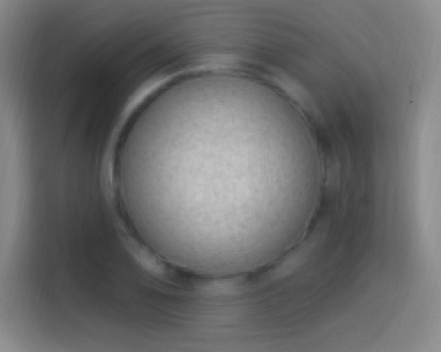 X0000113901078200910011338