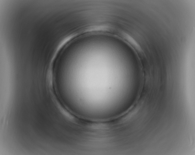 X0000113901079200910011338