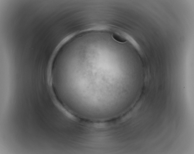 X0000113901080200910011338