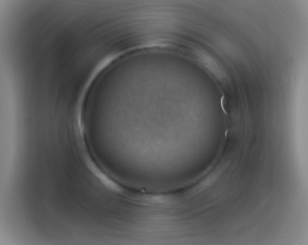 X0000113901084200910011338