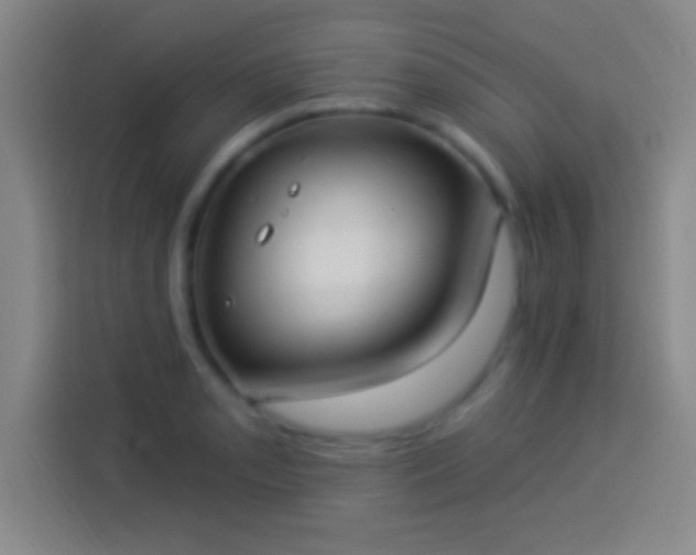 X0000113901085200910011338