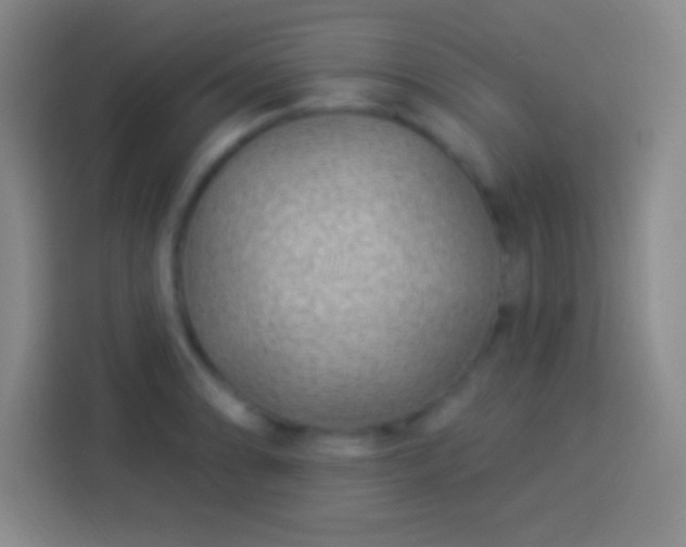 X0000113901086200910011338