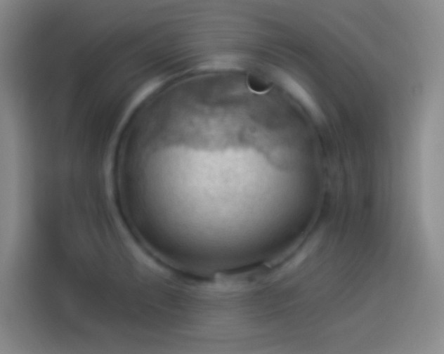 X0000113901087200910011338