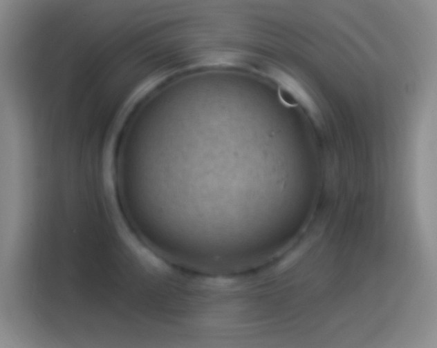 X0000113901088200910011338