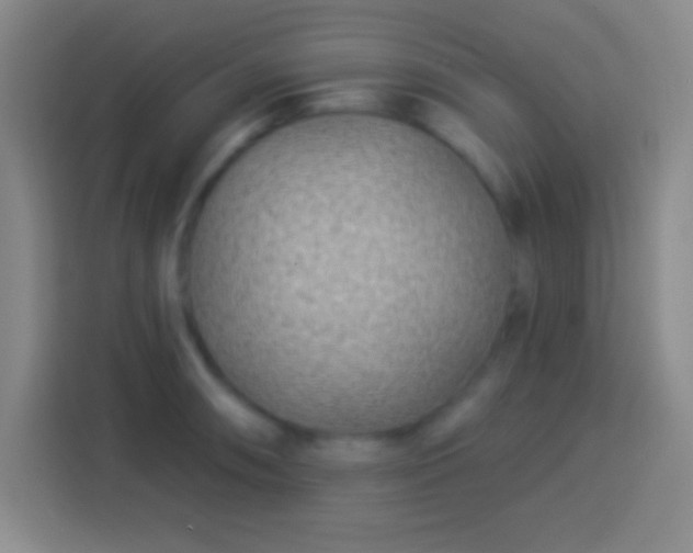 X0000113901090200910011338