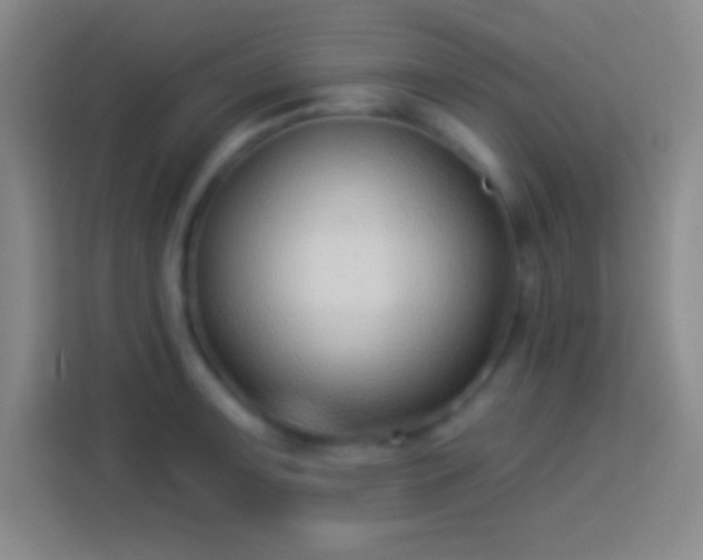 X0000113901091200910011338