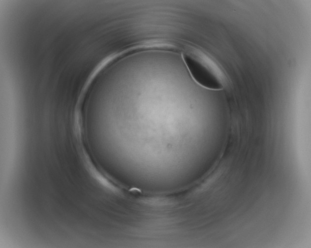 X0000113901092200910011338