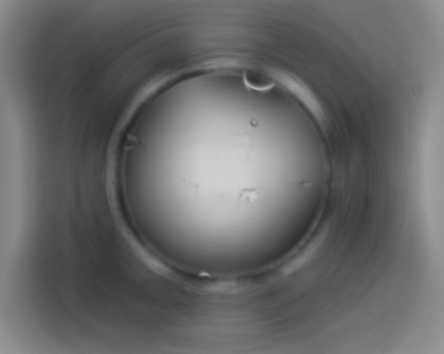 X0000113901093200910011338