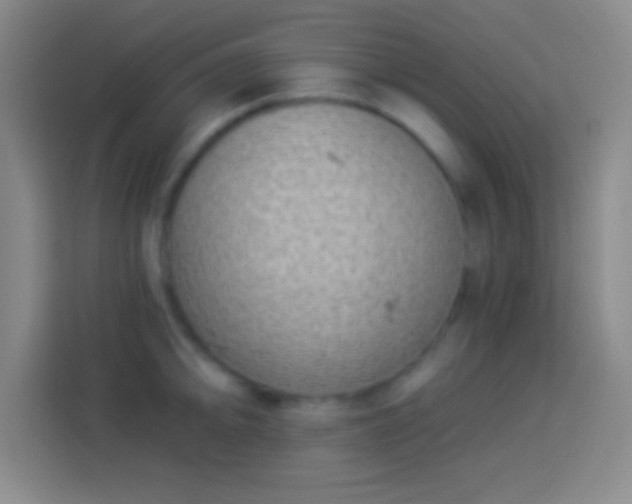 X0000113901094200910011338