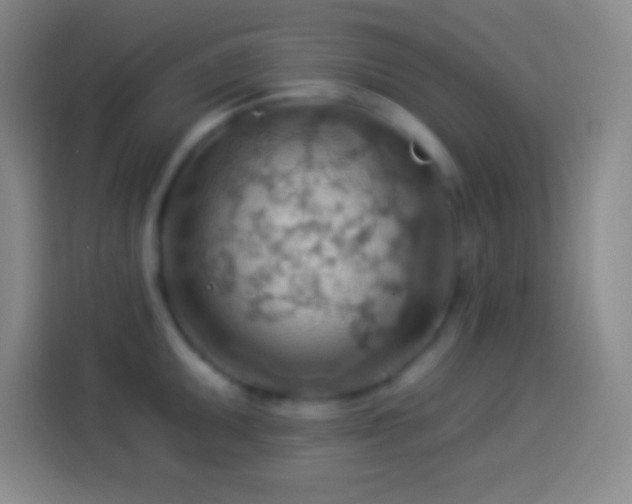 X0000113901095200910011337