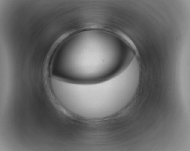 X0000113901096200910011337