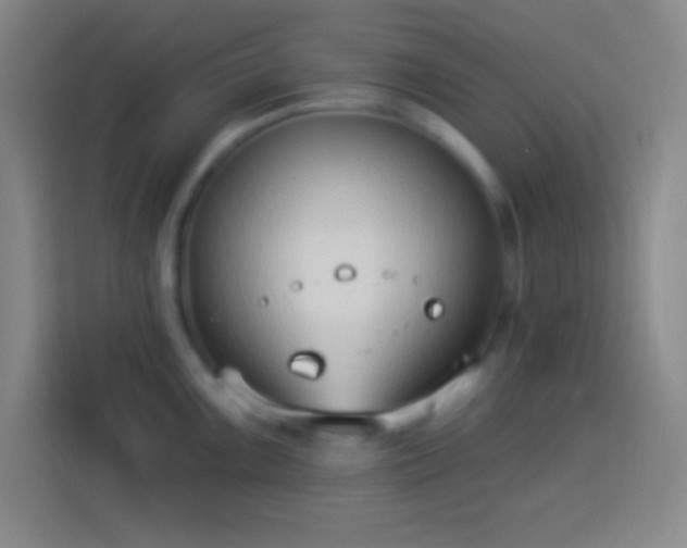 X0000113901099200910011337