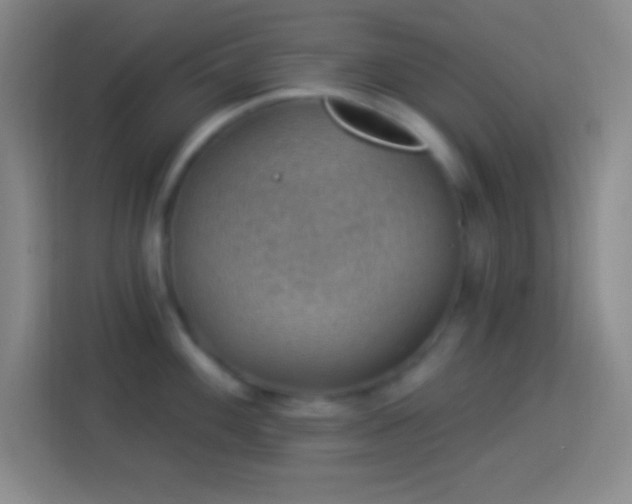 X0000113901100200910011337