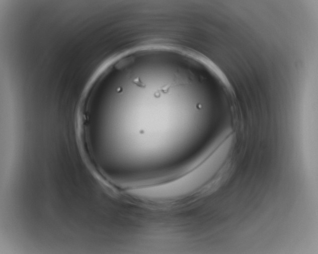 X0000113901101200910011337