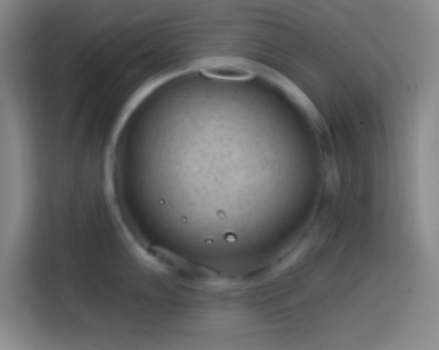 X0000113901102200910011337