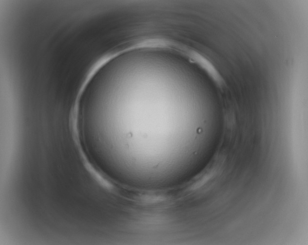 X0000113901103200910011337