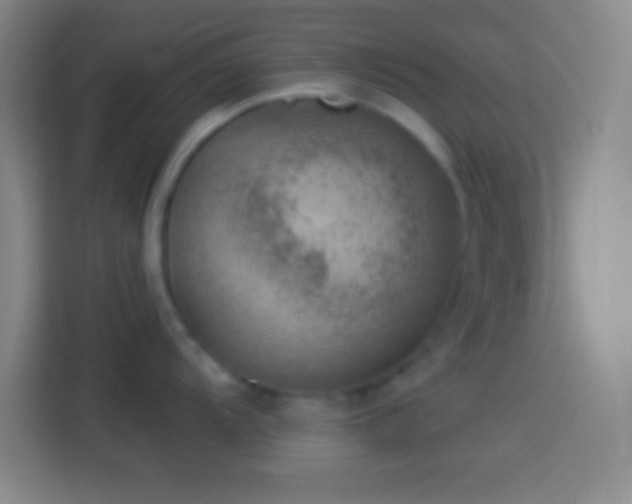 X0000113901104200910011337