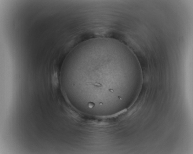 X0000113901106200910011337