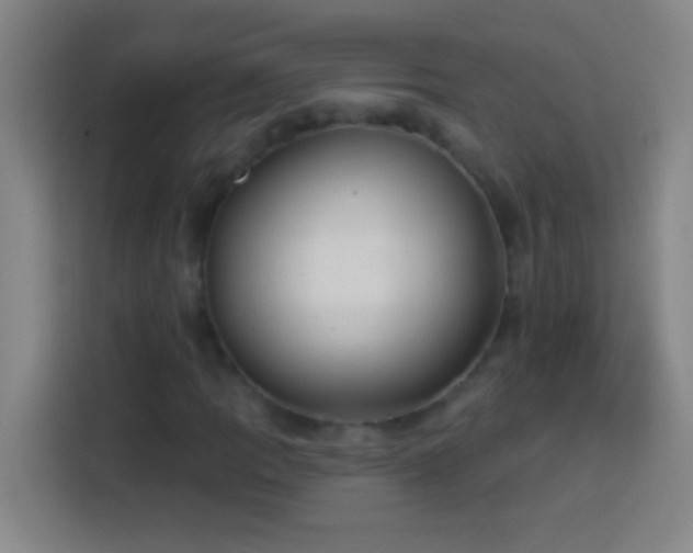 X0000113901109200910011337