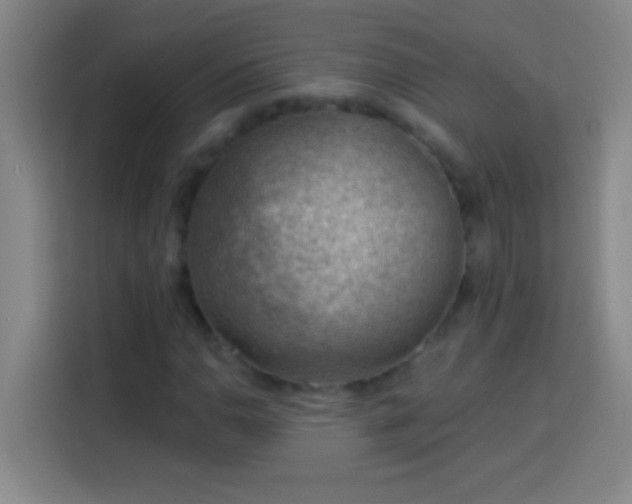 X0000113901110200910011337