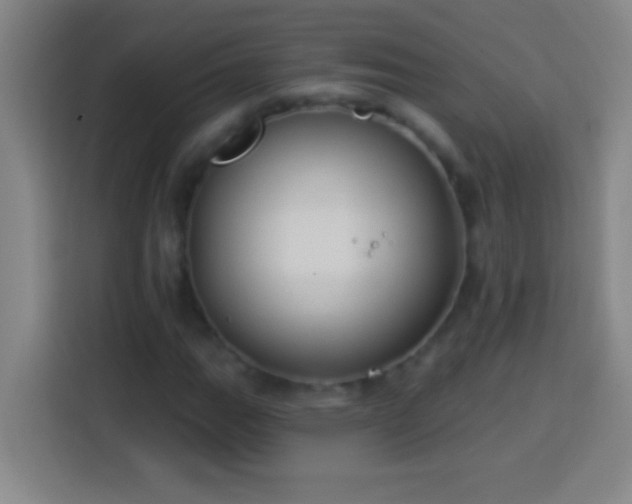 X0000113901111200910011337