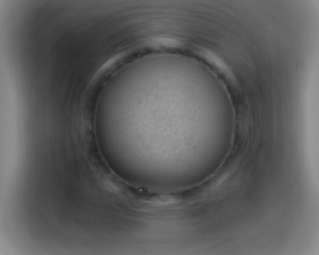 X0000113901112200910011337