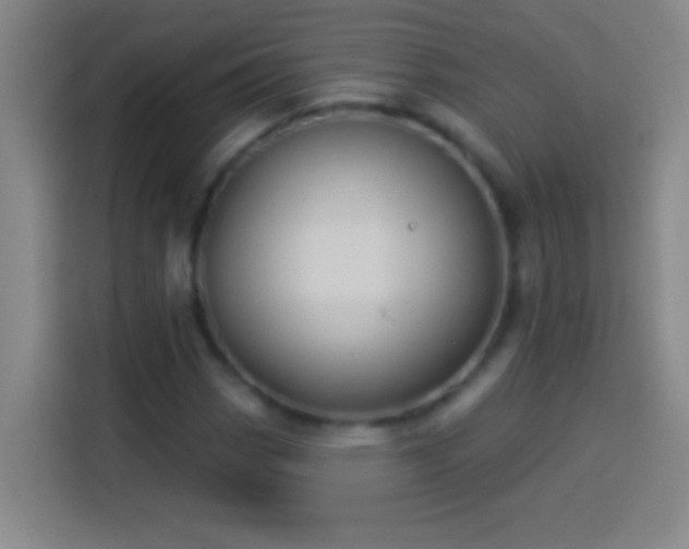 X0000113901113200910011337