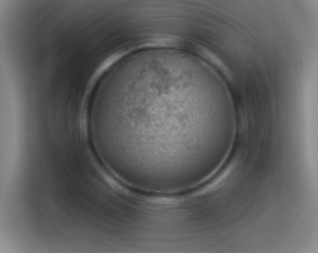 X0000113901114200910011337