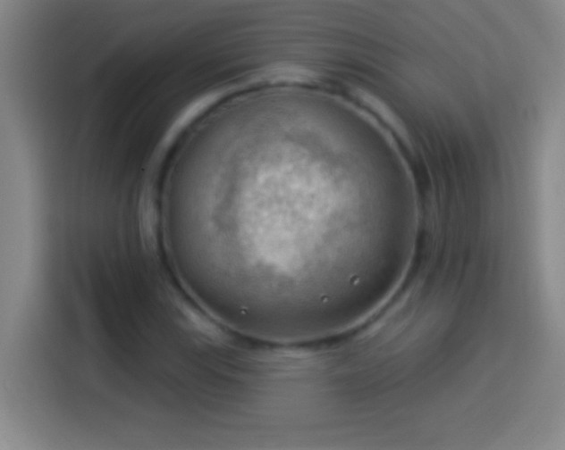 X0000113901115200910011337