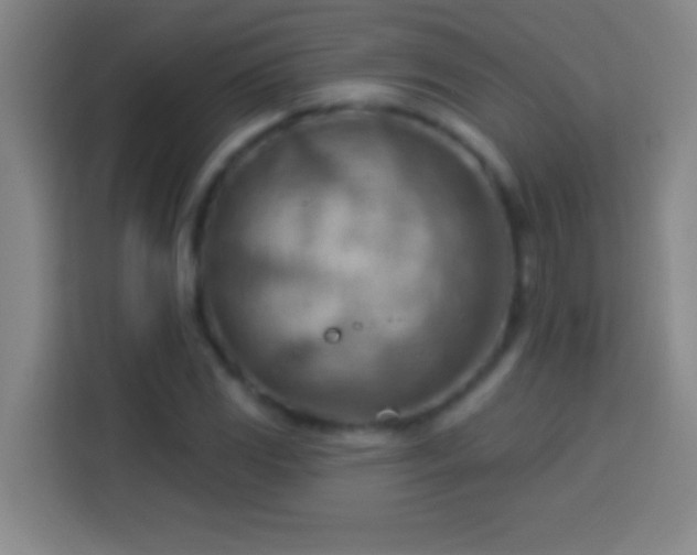 X0000113901117200910011337