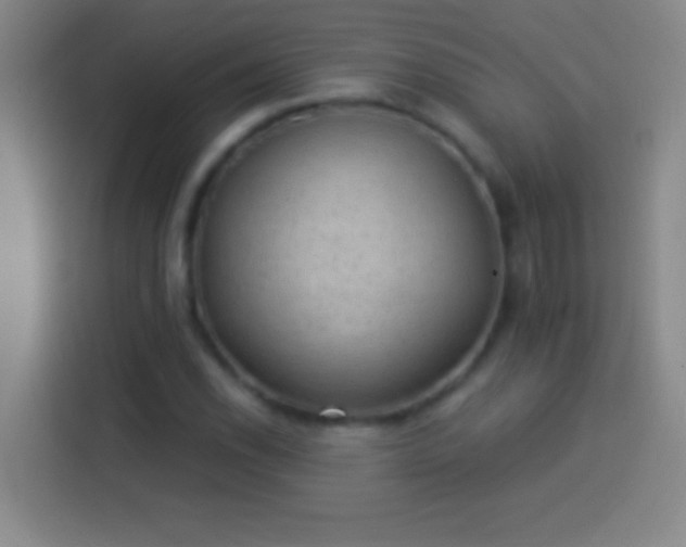 X0000113901118200910011337