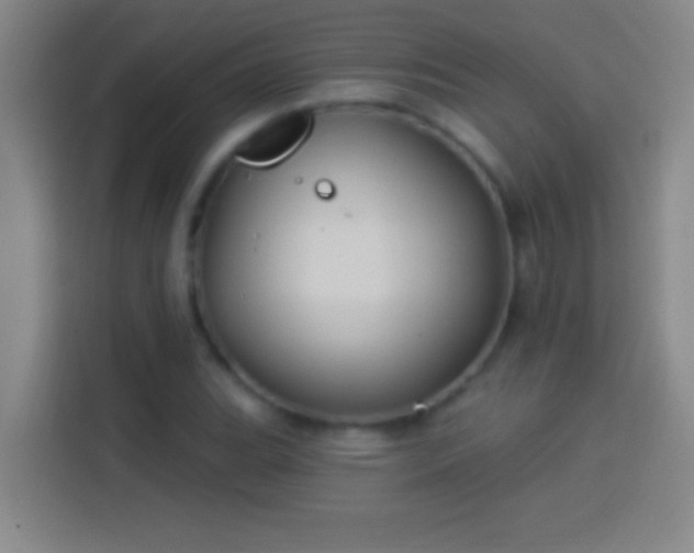 X0000113901119200910011337