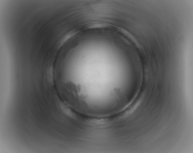 X0000113901121200910011337