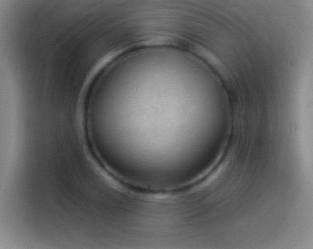 X0000113901122200910011337