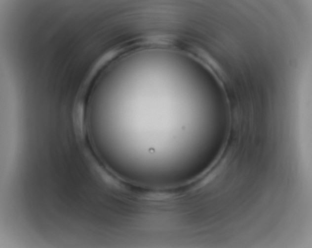 X0000113901123200910011337