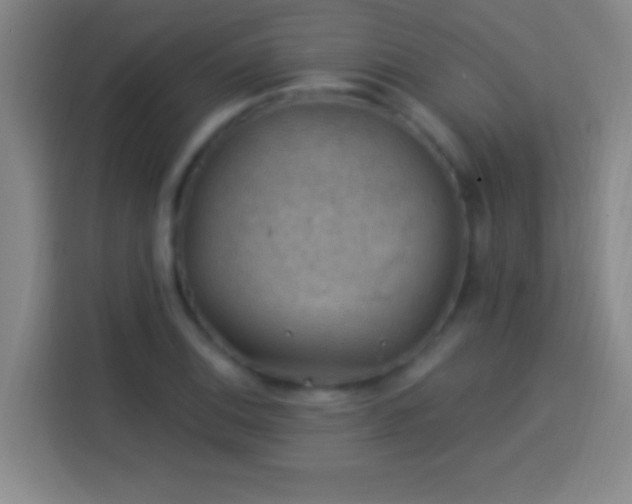 X0000113901124200910011337