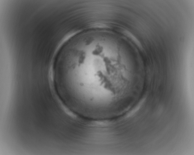 X0000113901125200910011337