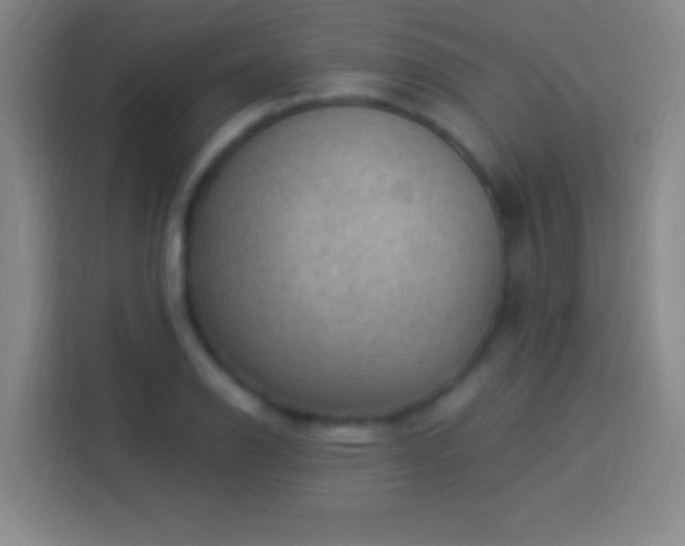 X0000113901126200910011337