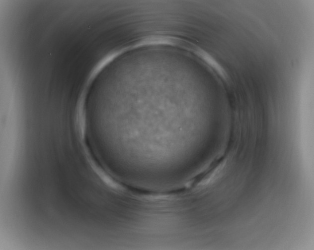 X0000113901127200910011337