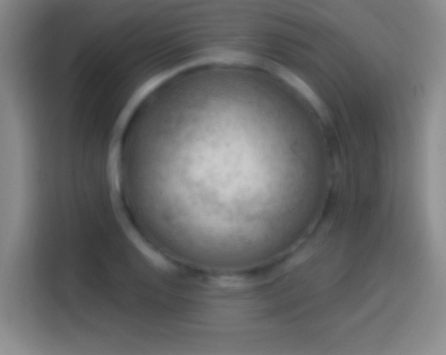 X0000113901128200910011337