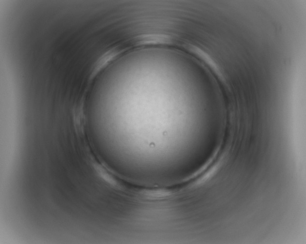 X0000113901129200910011337