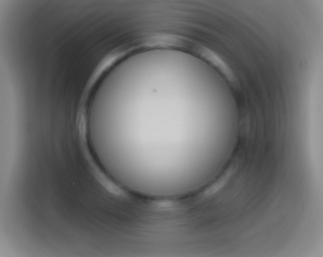 X0000113901130200910011337