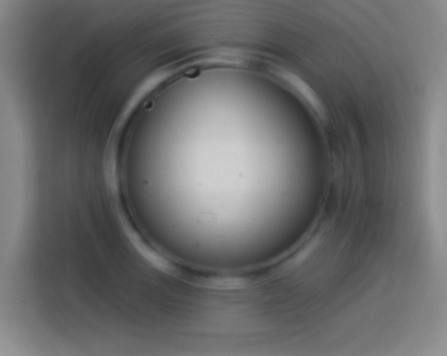 X0000113901131200910011337