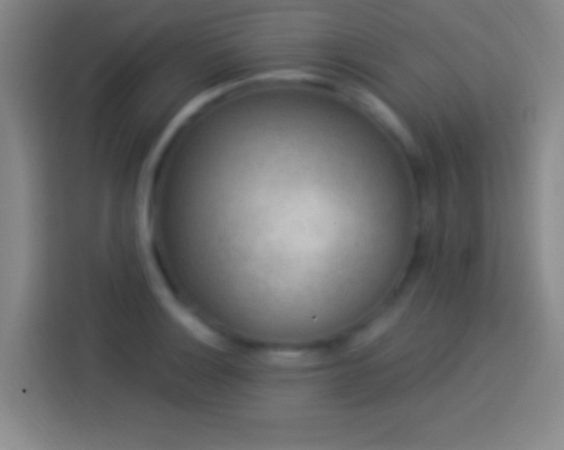 X0000113901132200910011337