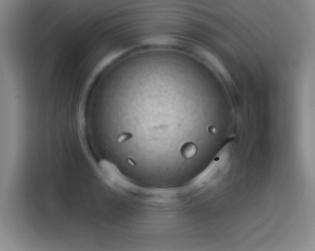 X0000113901133200910011337